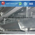 H Type Chicken Cages Poultry Equipment